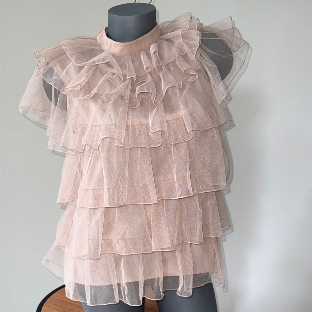 Pleione Pale Pink woman’s girls Tiered Ruffle Sheer Blouse XS